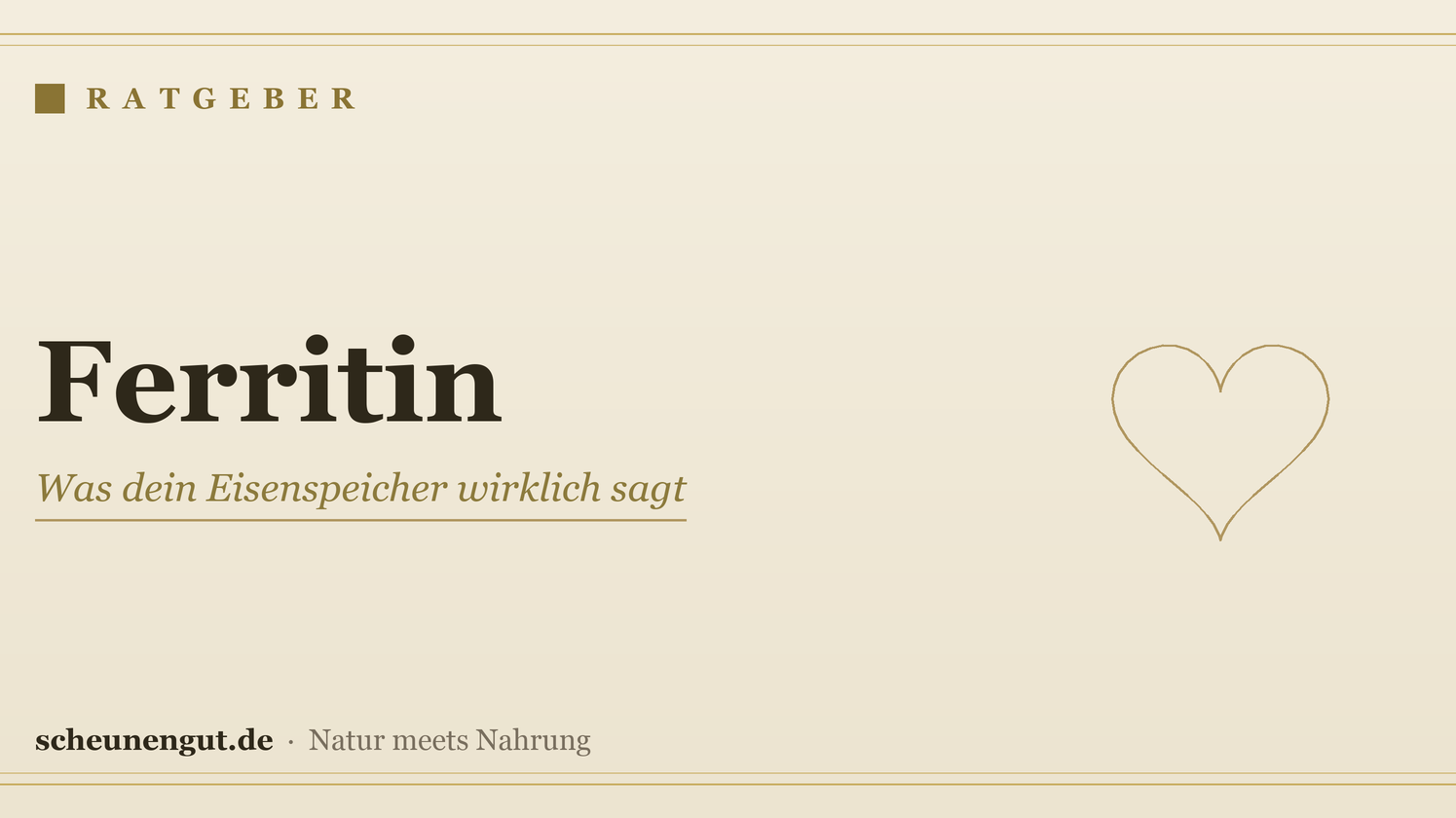 Ferritin: Was dein Eisenspeicher wirklich sagt