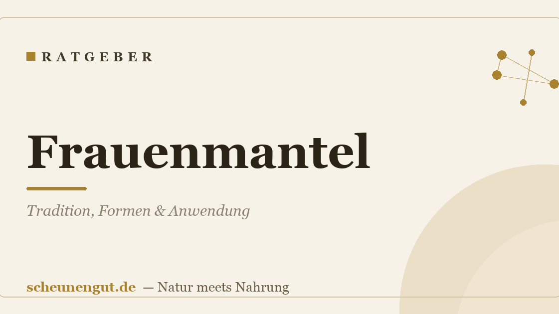 Frauenmantel: Tradition, Formen & Anwendung