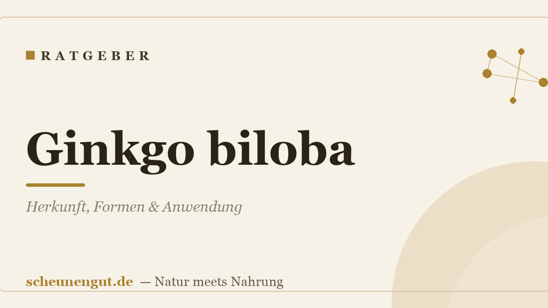 Ginkgo biloba: Herkunft, Formen & Anwendung