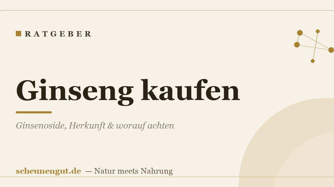 Ginseng kaufen: Ginsenoside, Herkunft & worauf achten