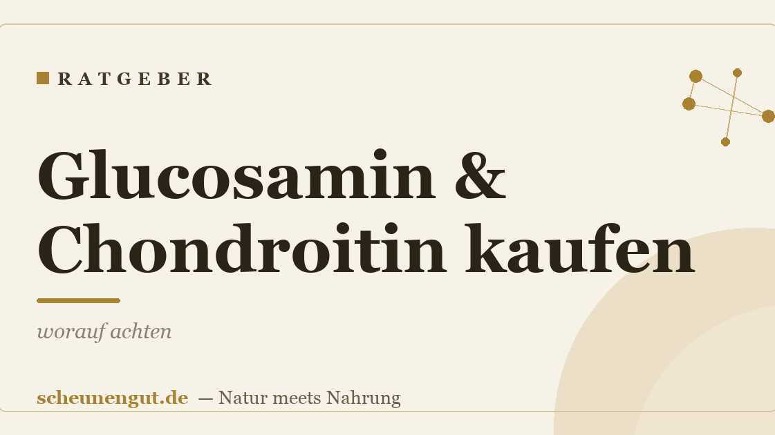 Glucosamin & Chondroitin kaufen: worauf achten