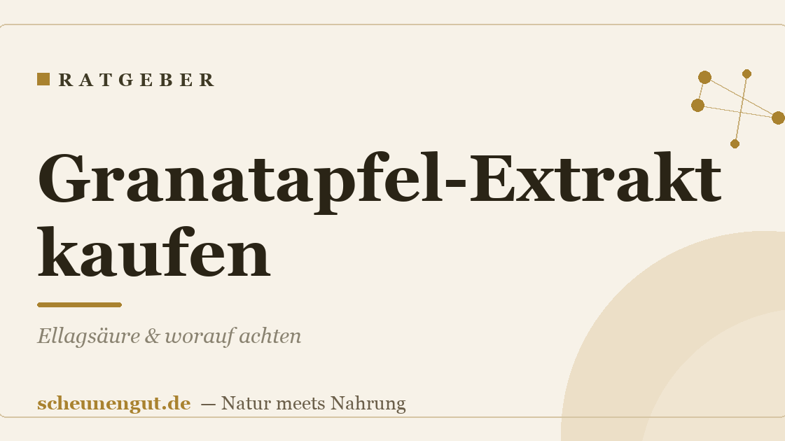 Granatapfel-Extrakt kaufen: Ellagsäure & worauf achten