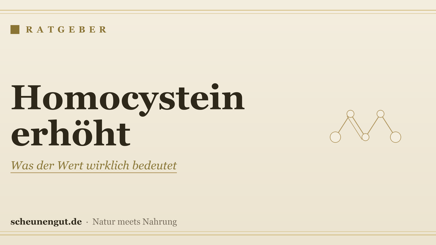 Homocystein erhöht: Was der Wert wirklich bedeutet