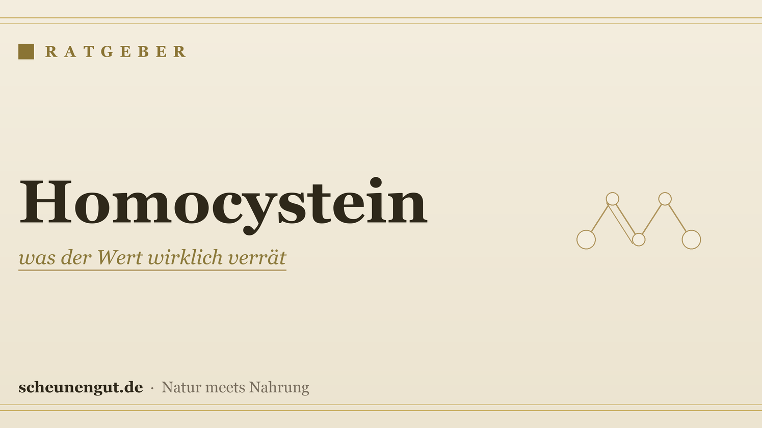 Homocystein: was der Wert wirklich verrät