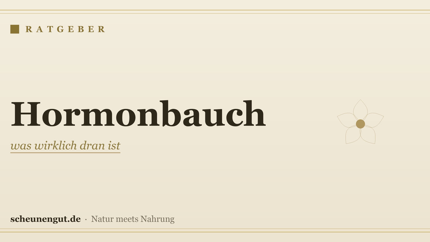 Hormonbauch: was wirklich dran ist