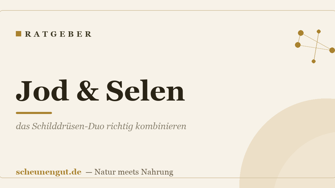 Jod & Selen: das Schilddrüsen-Duo richtig kombinieren