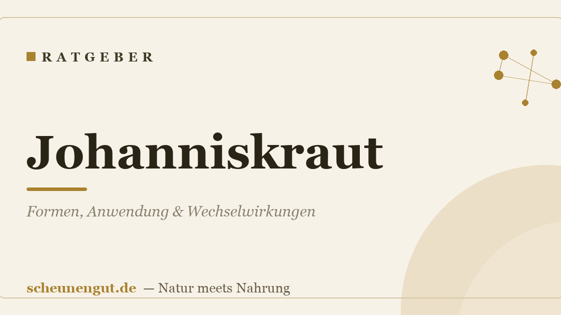 Johanniskraut: Formen, Anwendung & Wechselwirkungen