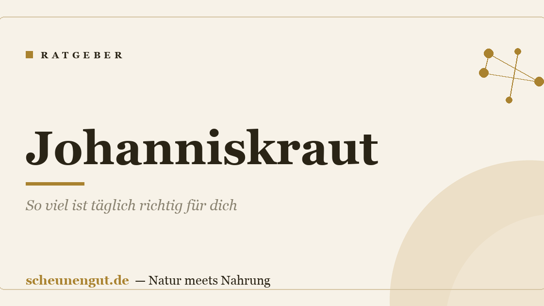 Johanniskraut: So viel ist täglich richtig für dich