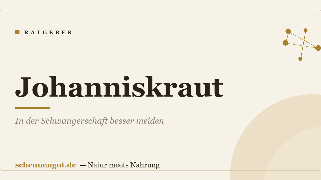 Johanniskraut: In der Schwangerschaft besser meiden
