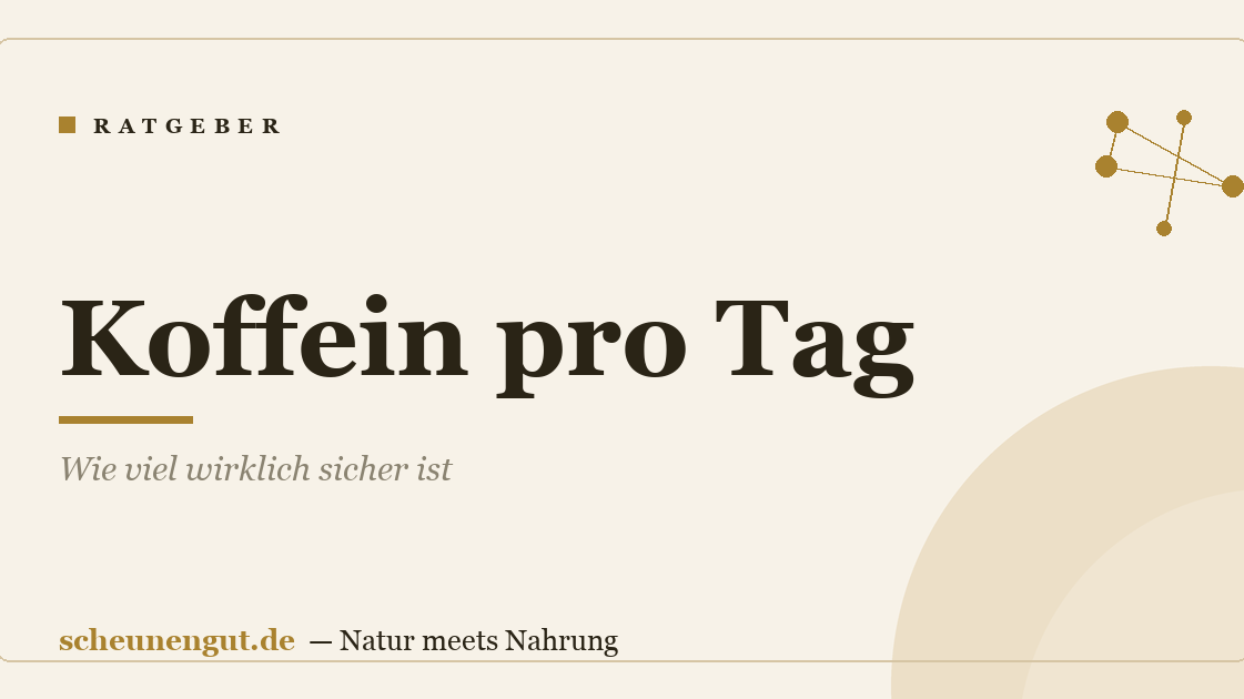 Koffein pro Tag: Wie viel wirklich sicher ist