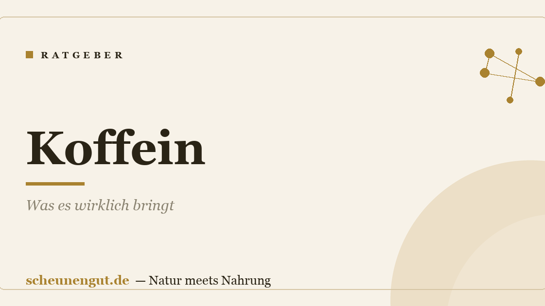 Koffein: Was es wirklich bringt