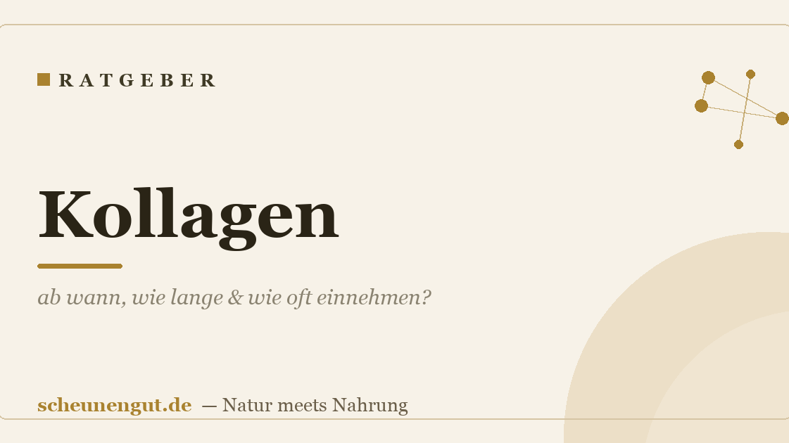 Kollagen: ab wann, wie lange & wie oft einnehmen?