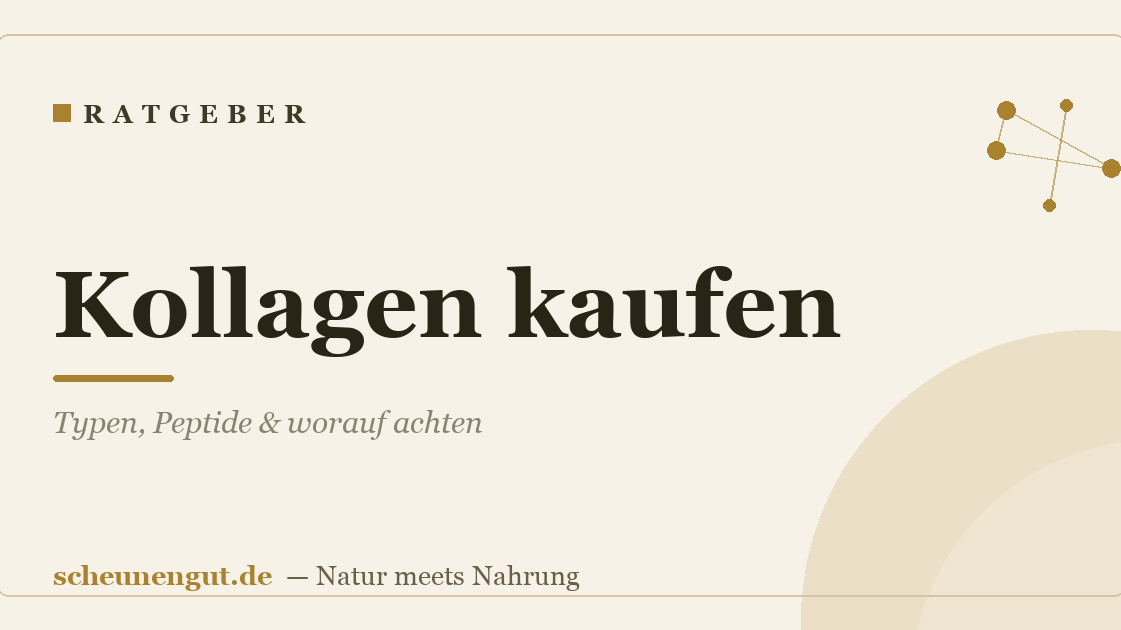 Kollagen kaufen: Typen, Peptide & worauf achten