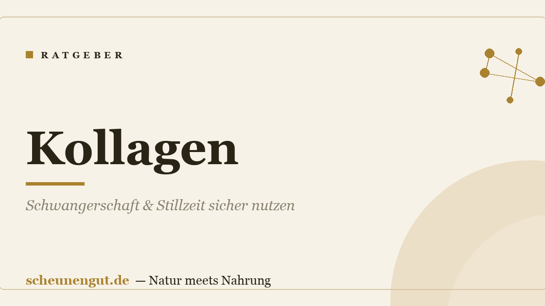 Kollagen: Schwangerschaft & Stillzeit sicher nutzen