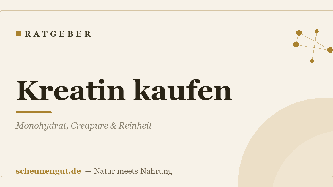 Kreatin kaufen: Monohydrat, Creapure & Reinheit