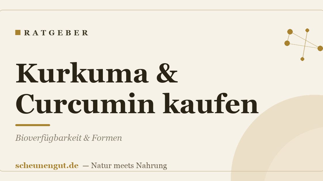 Kurkuma & Curcumin kaufen: Bioverfügbarkeit & Formen
