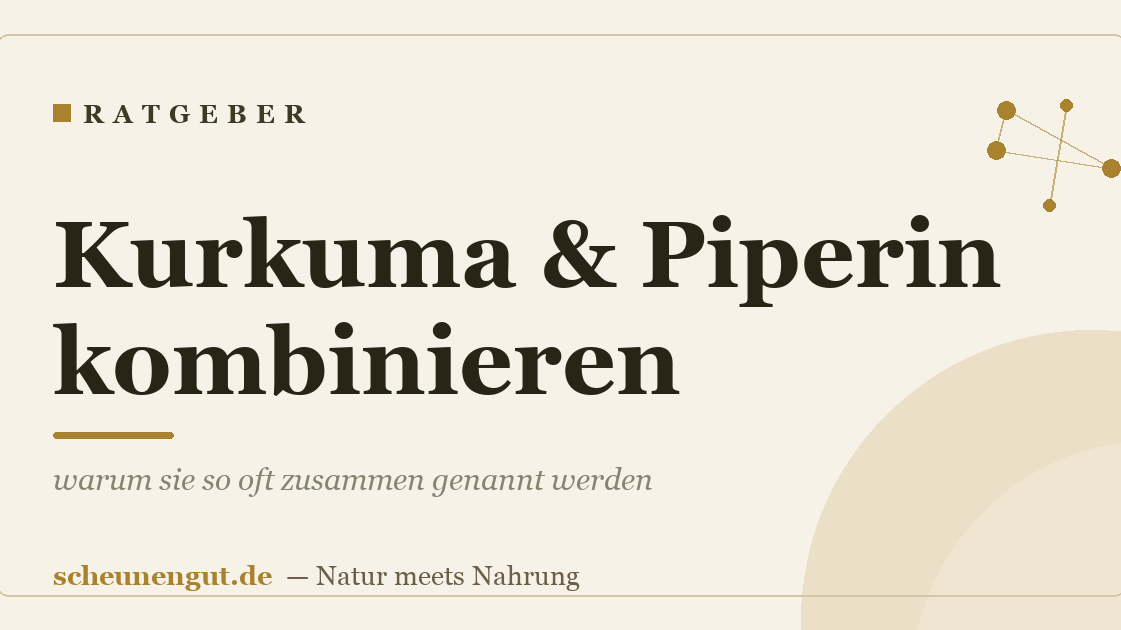 Kurkuma & Piperin kombinieren: warum sie so oft zusammen genannt werden