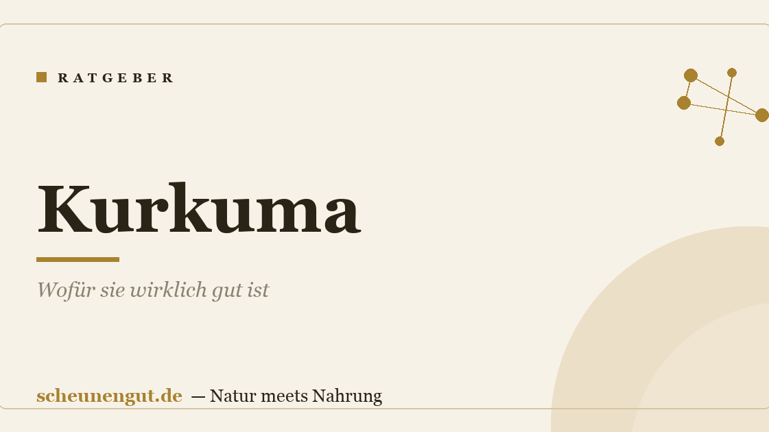 Kurkuma: Wofür sie wirklich gut ist