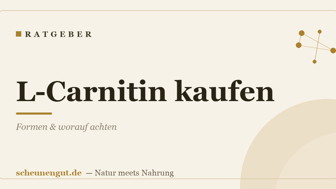 L-Carnitin kaufen: Formen & worauf achten
