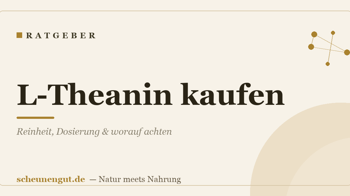 L-Theanin kaufen: Reinheit, Dosierung & worauf achten