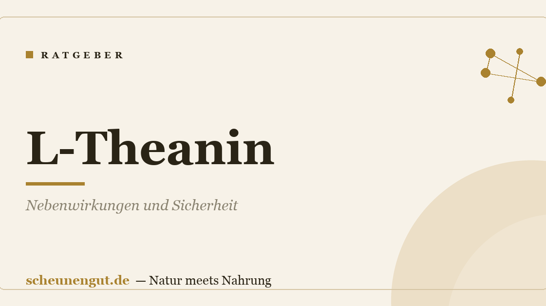 L-Theanin: Nebenwirkungen und Sicherheit