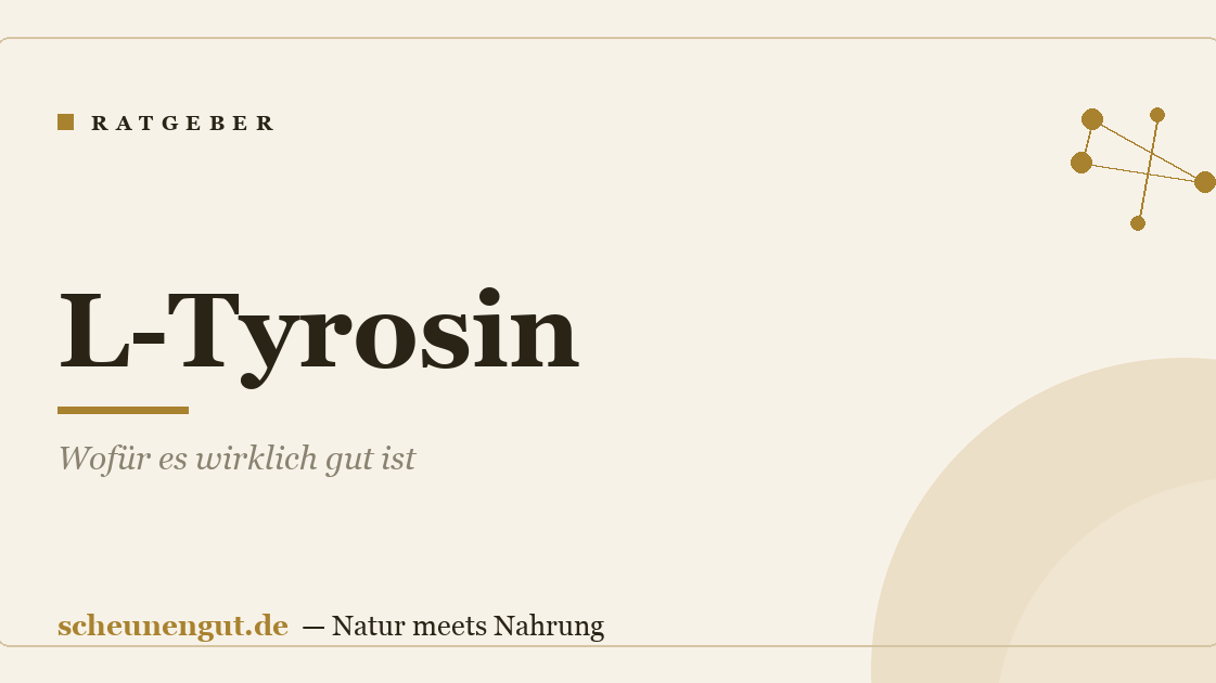 L-Tyrosin: Wofür es wirklich gut ist