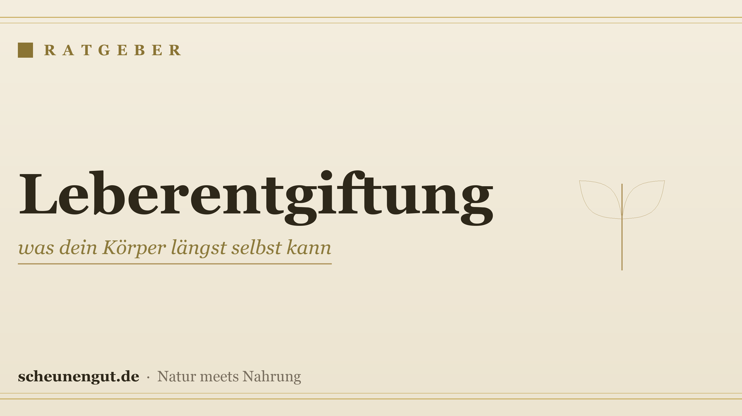 Leberentgiftung: was dein Körper längst selbst kann