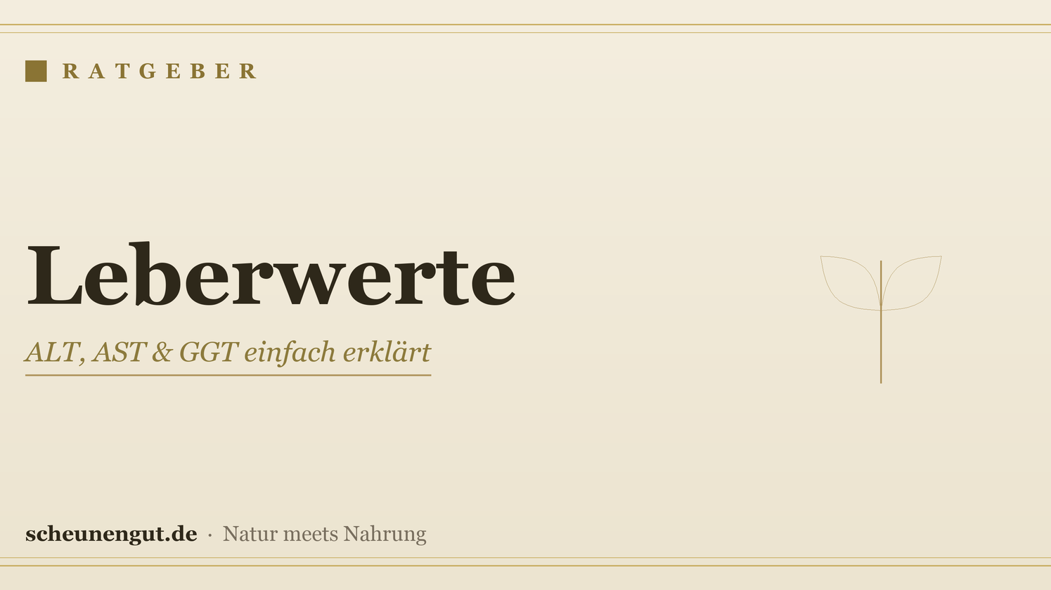 Leberwerte: ALT, AST & GGT einfach erklärt
