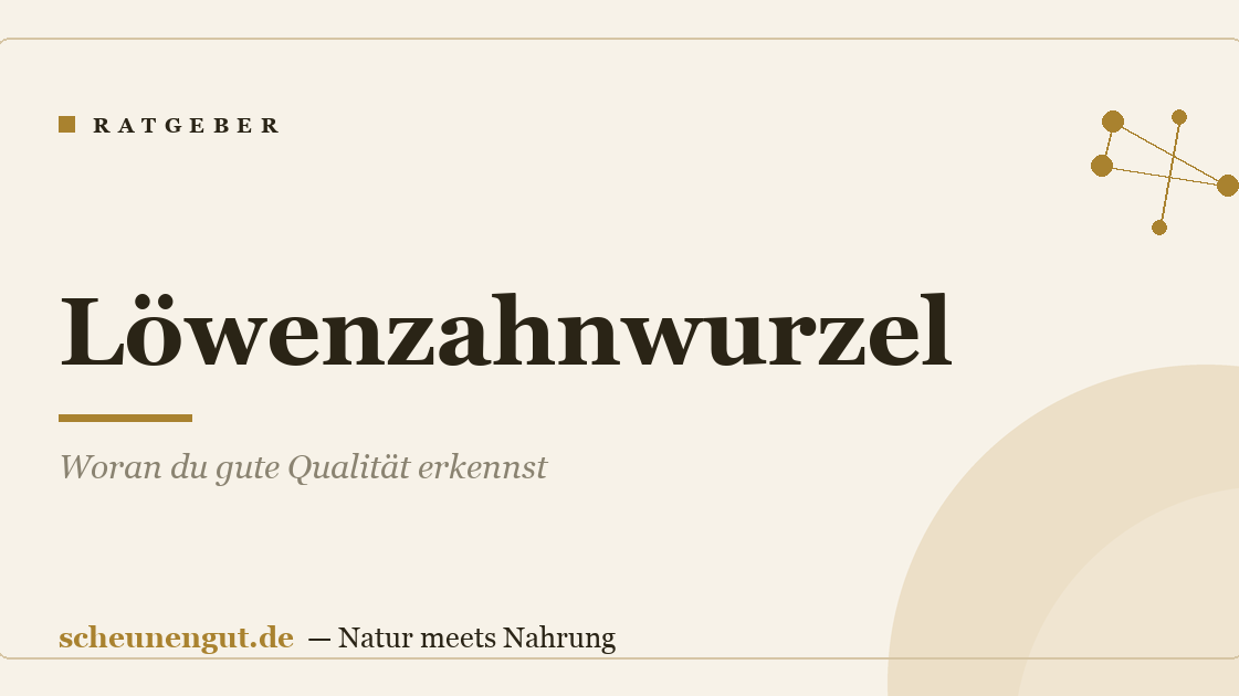Löwenzahnwurzel: Woran du gute Qualität erkennst