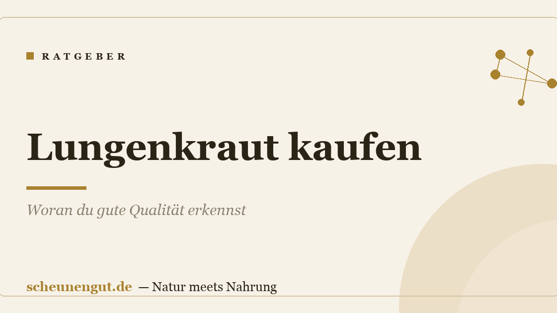 Lungenkraut kaufen: Woran du gute Qualität erkennst