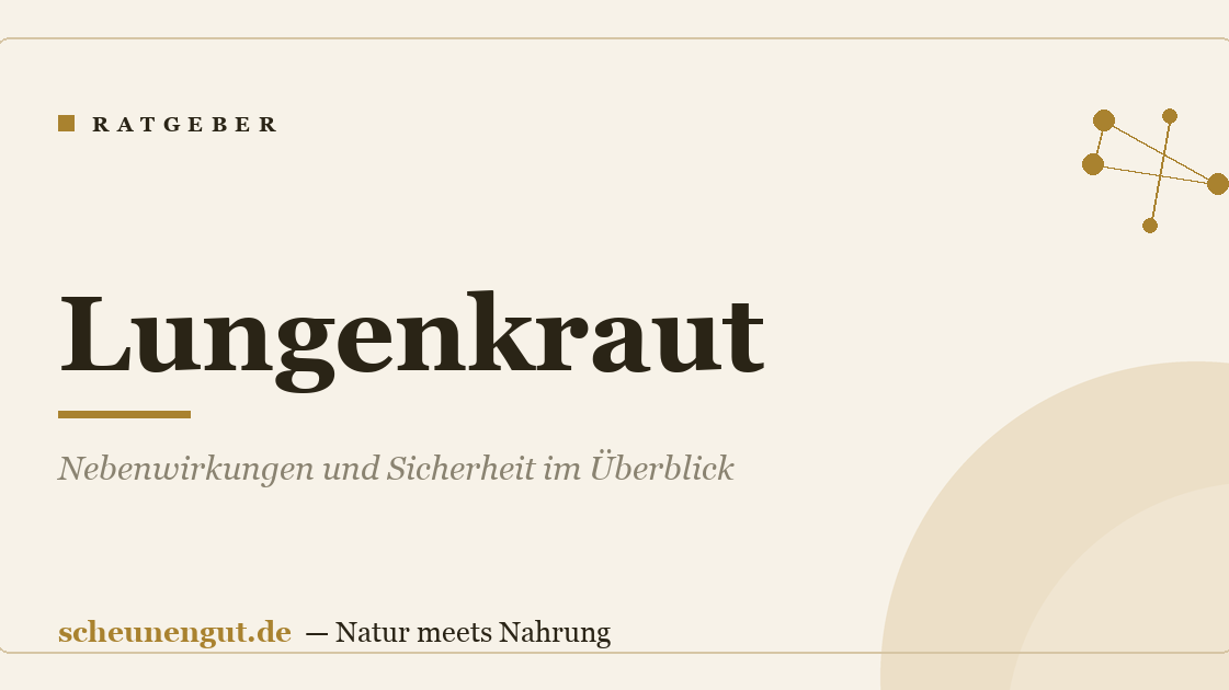 Lungenkraut: Nebenwirkungen und Sicherheit im Überblick