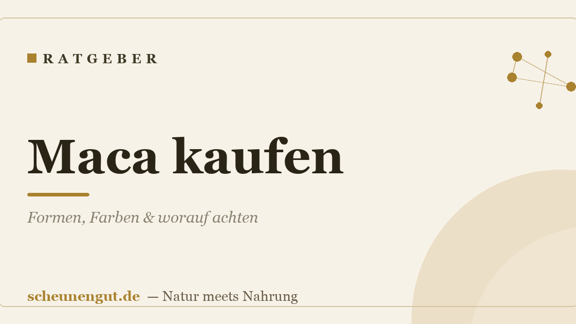 Maca kaufen: Formen, Farben & worauf achten