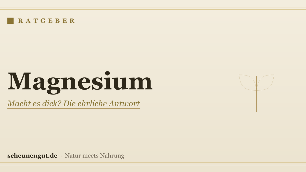 Magnesium: Macht es dick? Die ehrliche Antwort