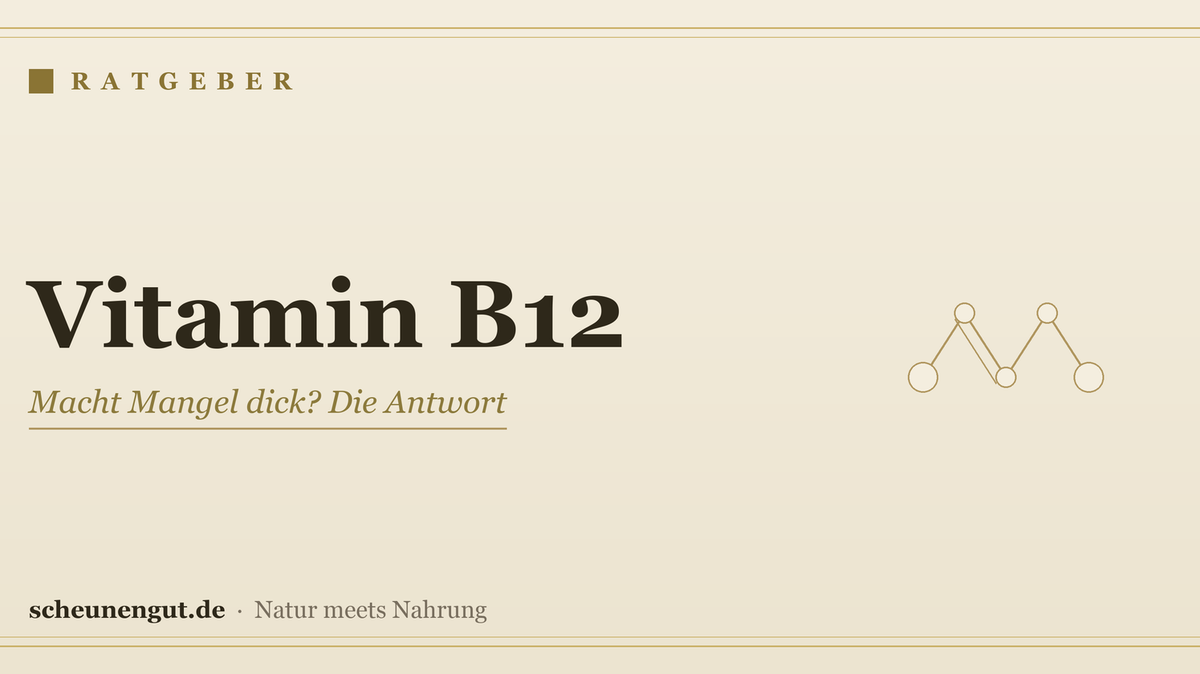 Vitamin B12: Macht Mangel dick? Die Antwort