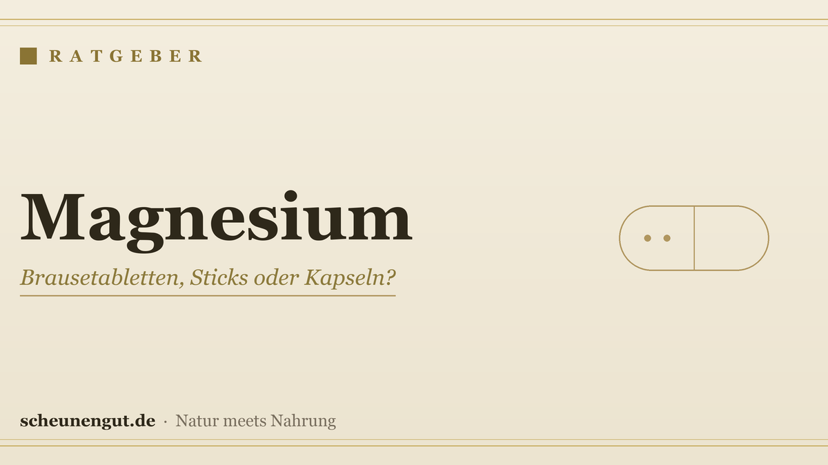 Magnesium: Brausetabletten, Sticks oder Kapseln?