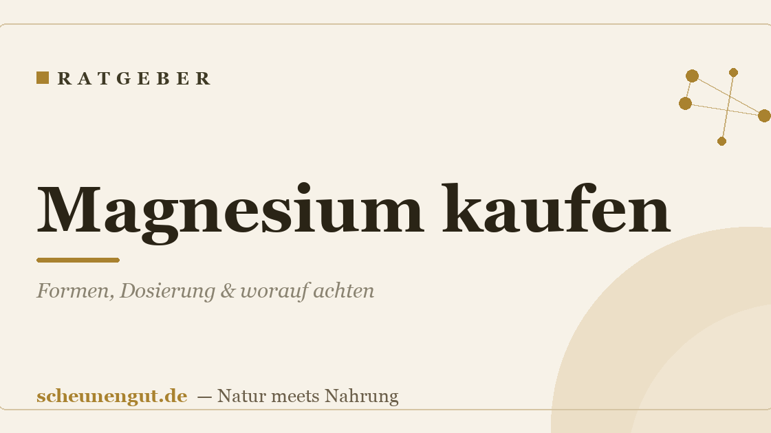 Magnesium kaufen: Formen, Dosierung & worauf achten
