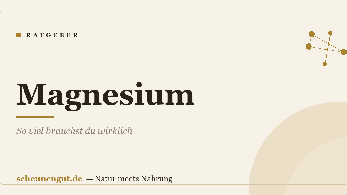 Magnesium: So viel brauchst du wirklich