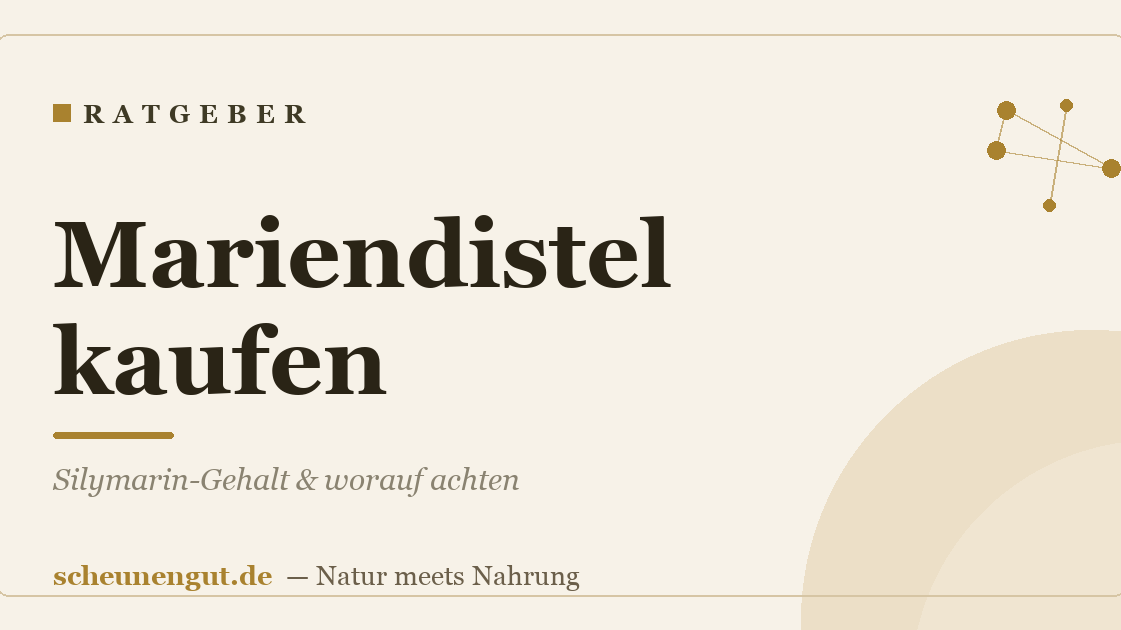 Mariendistel kaufen: Silymarin-Gehalt & worauf achten