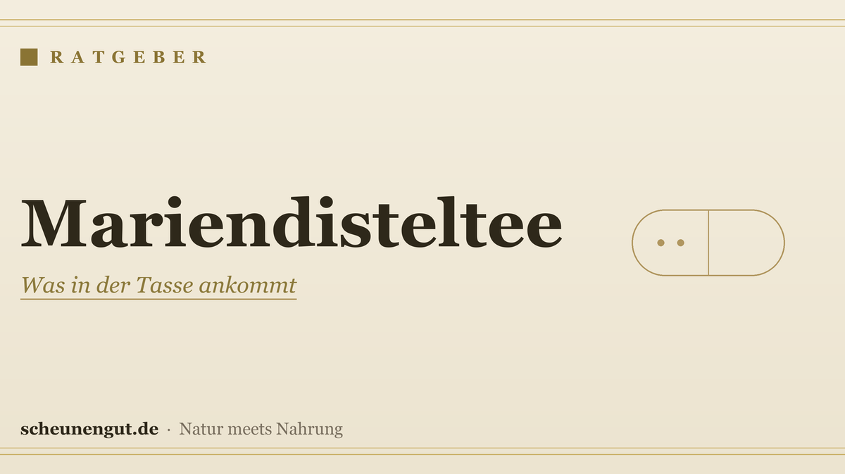 Mariendisteltee: Was in der Tasse ankommt