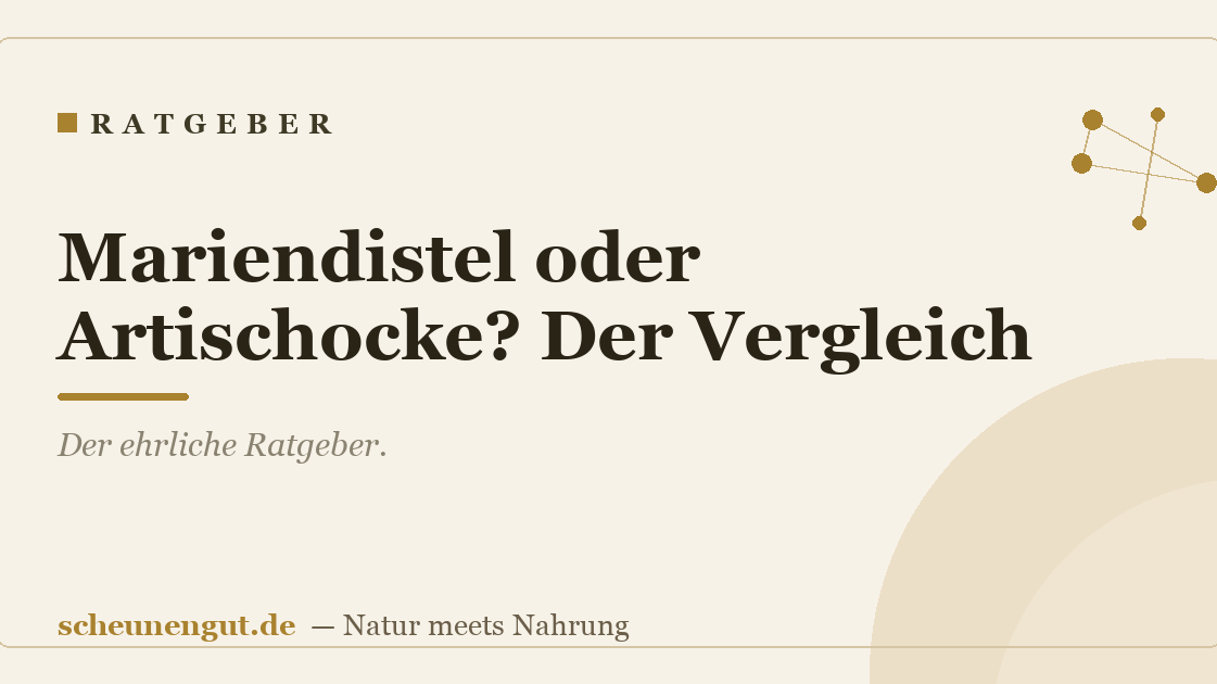 Mariendistel oder Artischocke? Der Vergleich