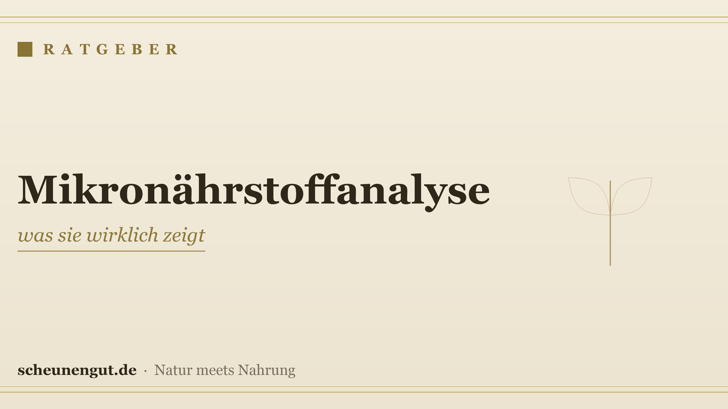 Mikronährstoffanalyse: was sie wirklich zeigt