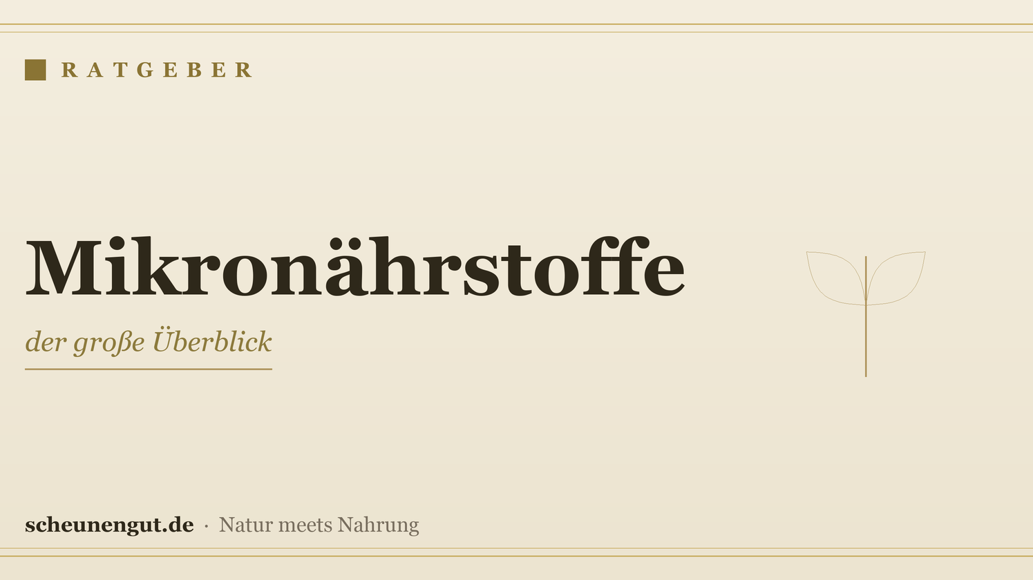 Mikronährstoffe: der große Überblick