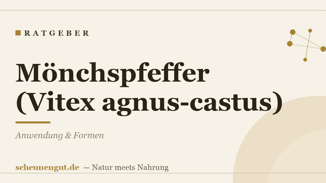 Mönchspfeffer (Vitex agnus-castus): Anwendung & Formen
