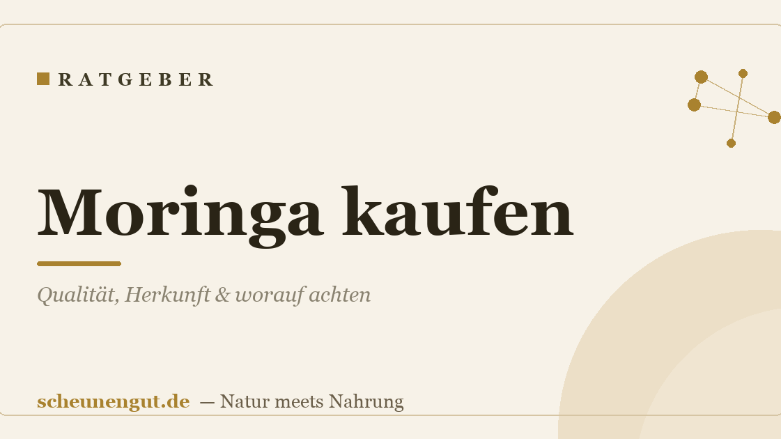Moringa kaufen: Qualität, Herkunft & worauf achten
