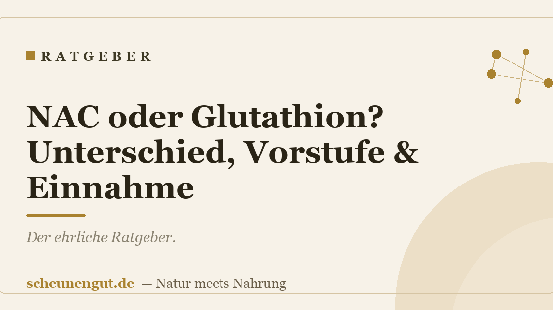 NAC oder Glutathion? Unterschied, Vorstufe & Einnahme