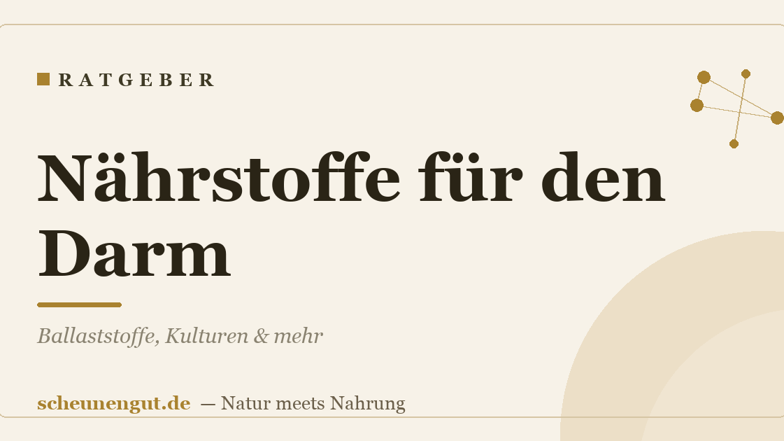 Nährstoffe für den Darm: Ballaststoffe, Kulturen & mehr