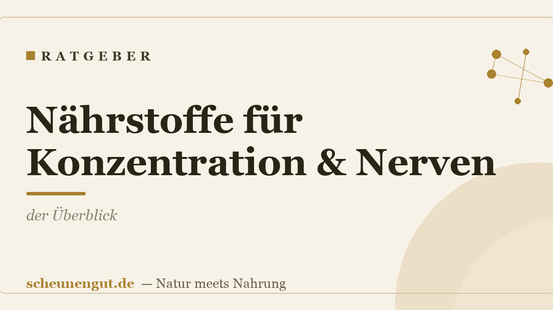 Nährstoffe für Konzentration & Nerven: der Überblick