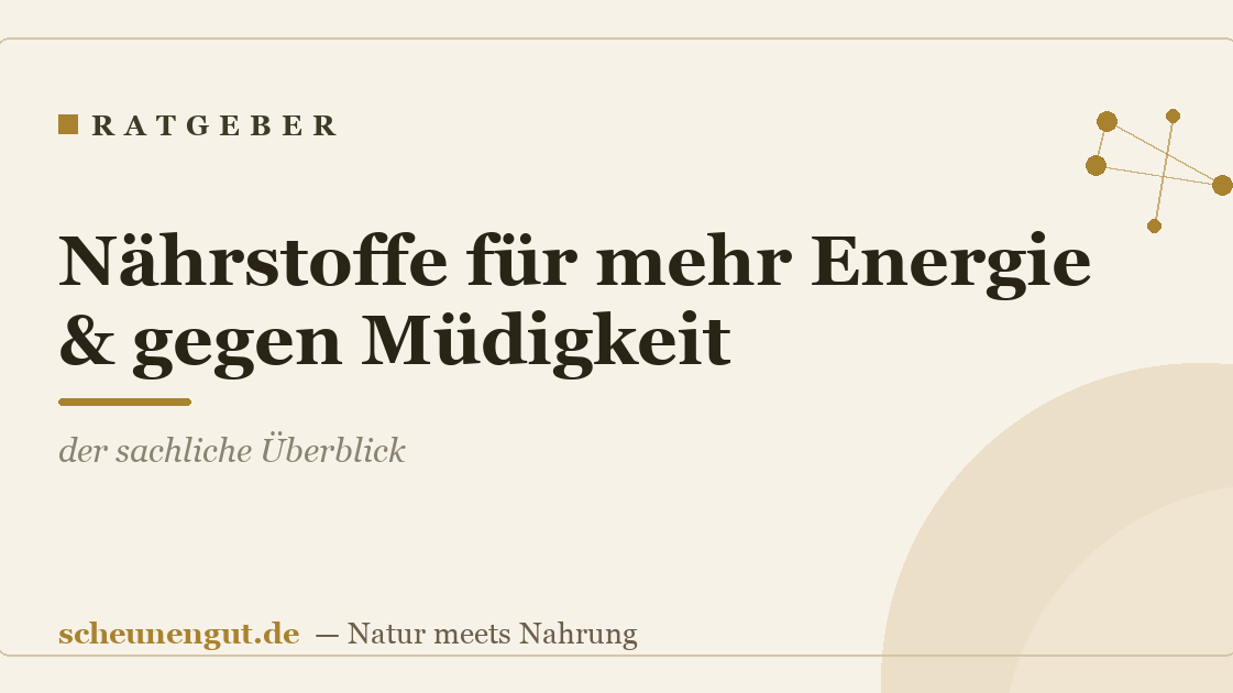 Nährstoffe für mehr Energie & gegen Müdigkeit: der sachliche Überblick