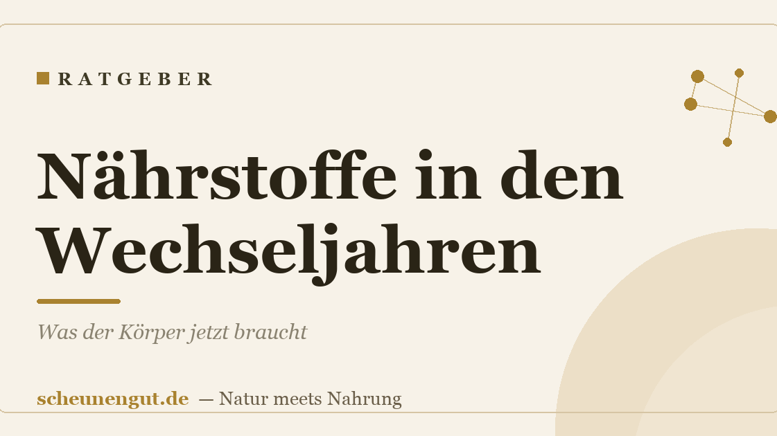 Nährstoffe in den Wechseljahren: Was der Körper jetzt braucht