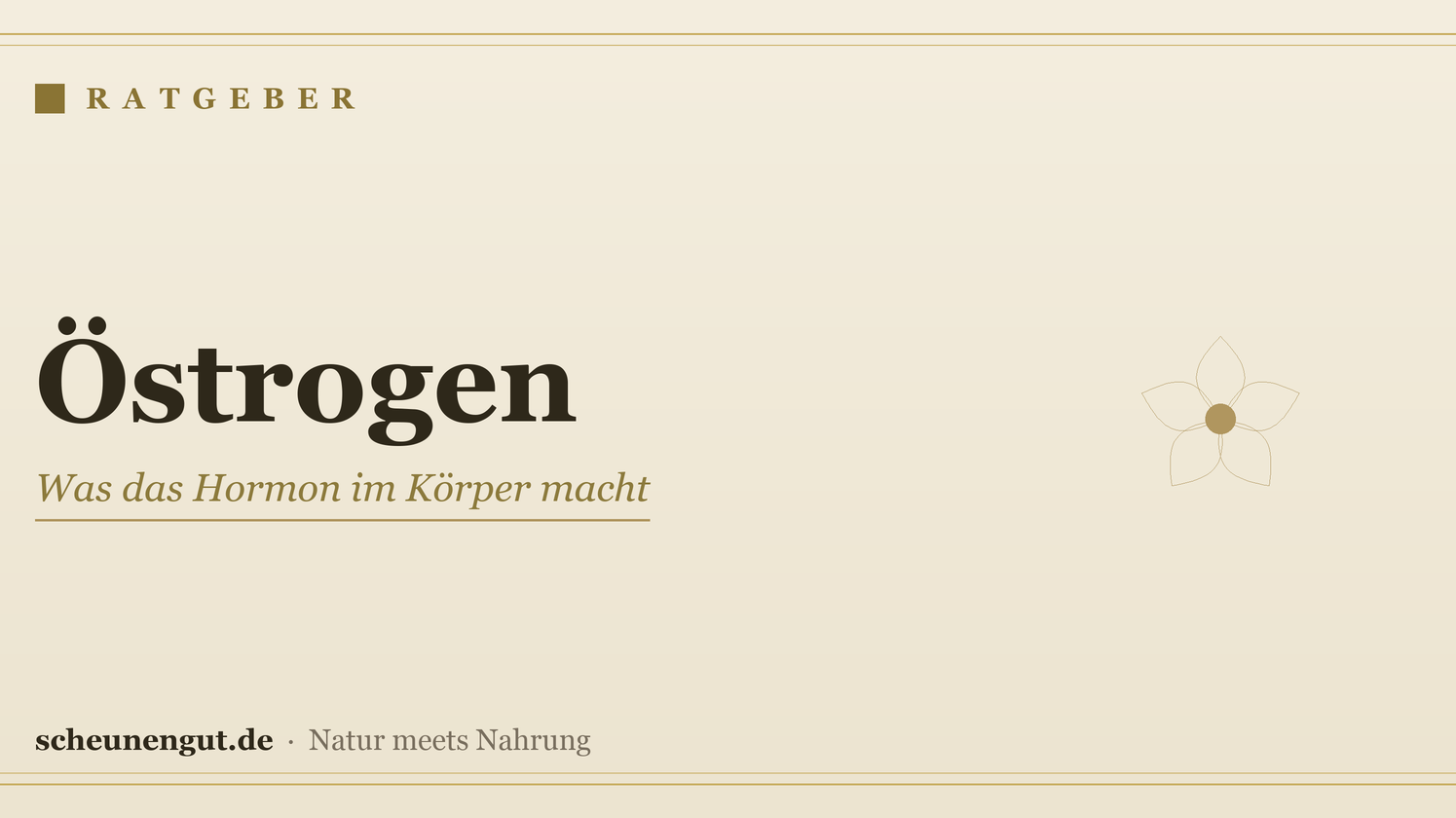 Östrogen: Was das Hormon im Körper macht